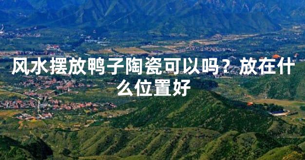 风水摆放鸭子陶瓷可以吗？放在什么位置好