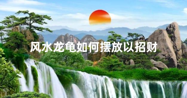 风水龙龟如何摆放以招财