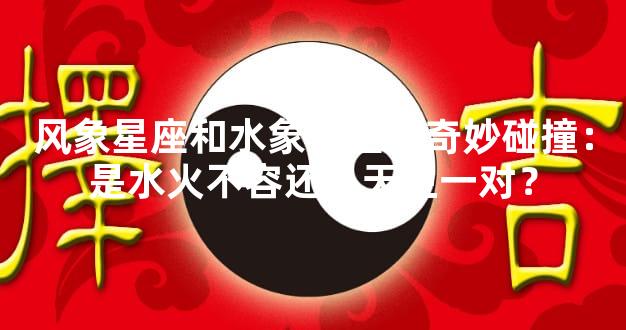 风象星座和水象星座的奇妙碰撞：是水火不容还是天生一对？