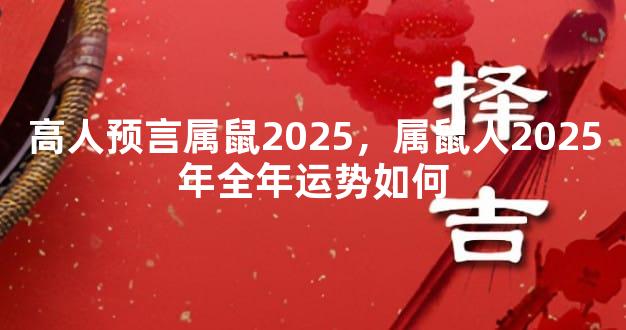 高人预言属鼠2025，属鼠人2025年全年运势如何