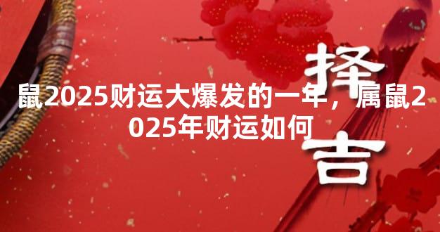 鼠2025财运大爆发的一年，属鼠2025年财运如何
