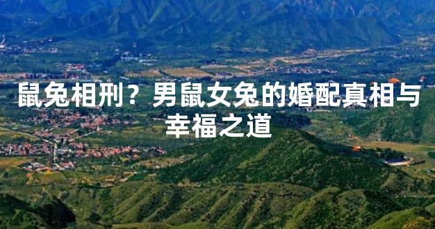 鼠兔相刑？男鼠女兔的婚配真相与幸福之道