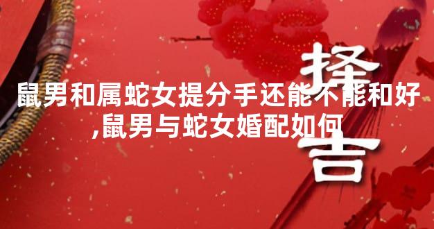 鼠男和属蛇女提分手还能不能和好,鼠男与蛇女婚配如何